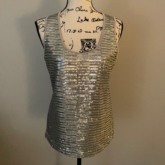 Jones New York Silver Gray Sequin Tank Top Size Small S. Perfect for Holidays! - Picture 1 of 4